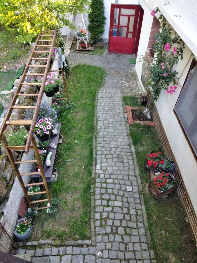 Salas-Dum Pro Spolecnou Dovolenou Az 11 Osob Exterior photo